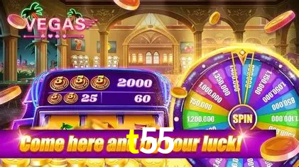Flash Promotion t55