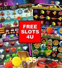 Exclusive Offers t55